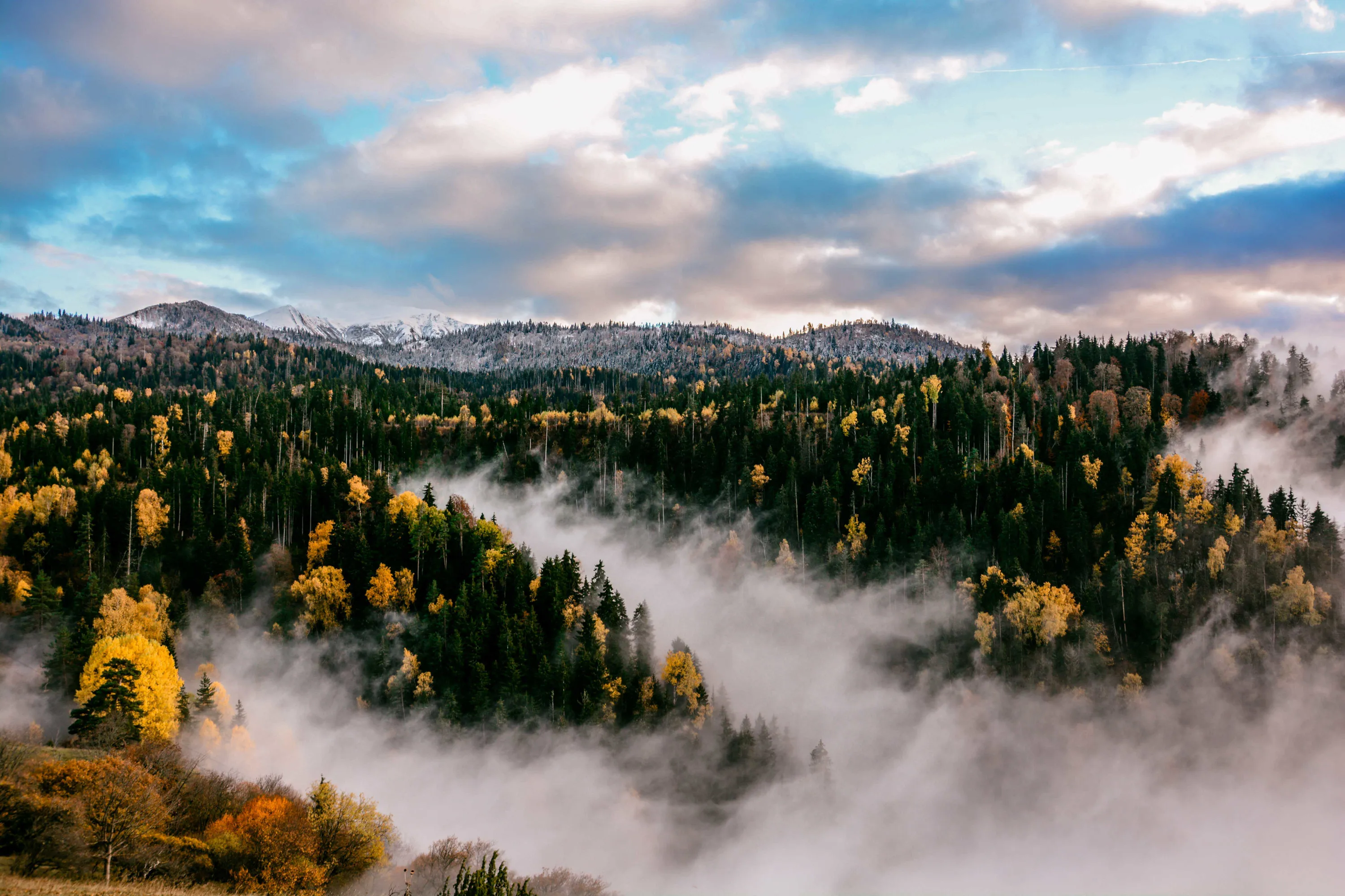 featured place image