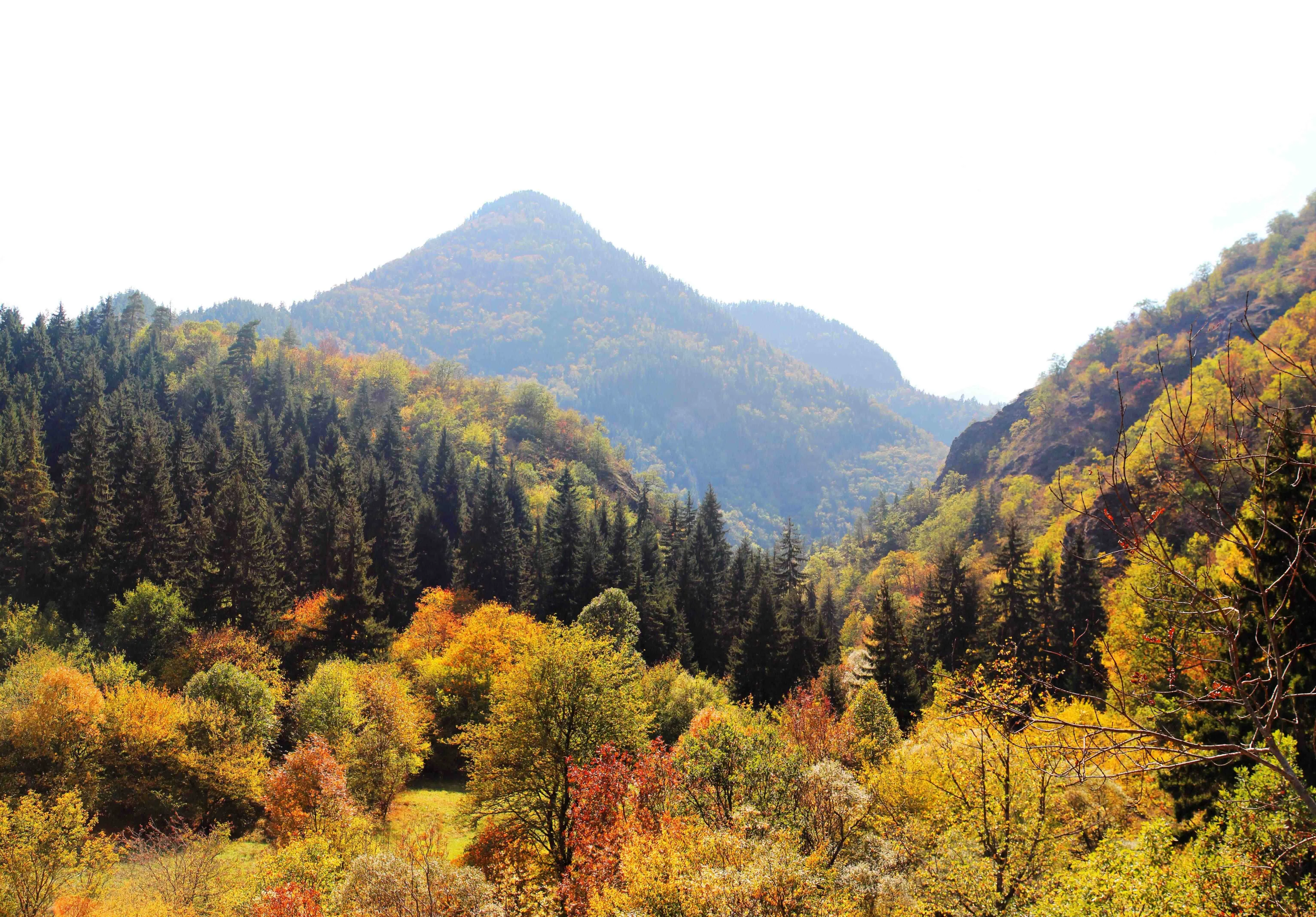 featured place image